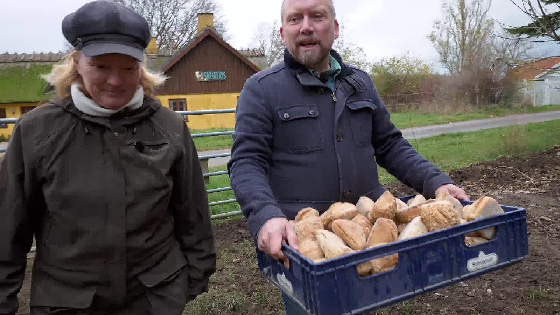 Juleand fra Skelleris Hvor kommer maden fra TV2 ØST