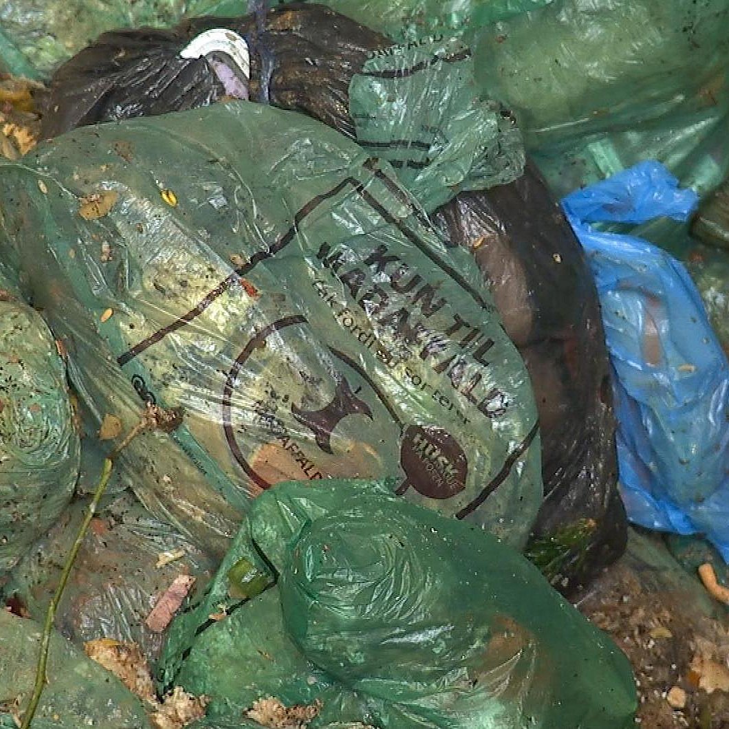 husmor køleskab pakke Bioposer ender som plastik i naturen: Hvordan håndterer din kommune  madaffald og plastikposer? | TV2 ØST
