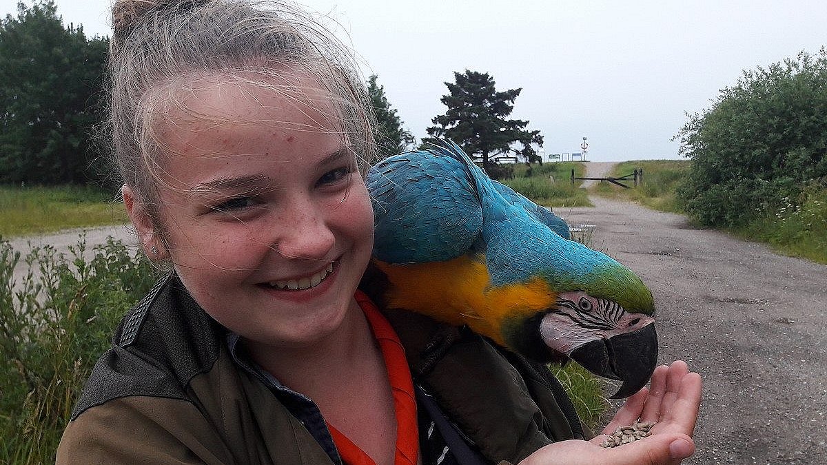Marie fik en ven: Papegøje dukkede op på strand | TV2