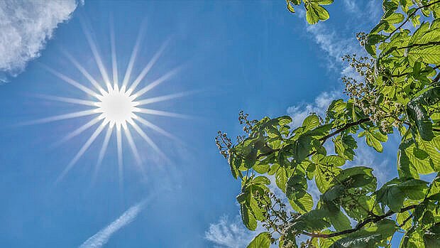 Sommeren 2019 Blev Den Niende Varmeste Målt I Danmark Tv2 Øst 