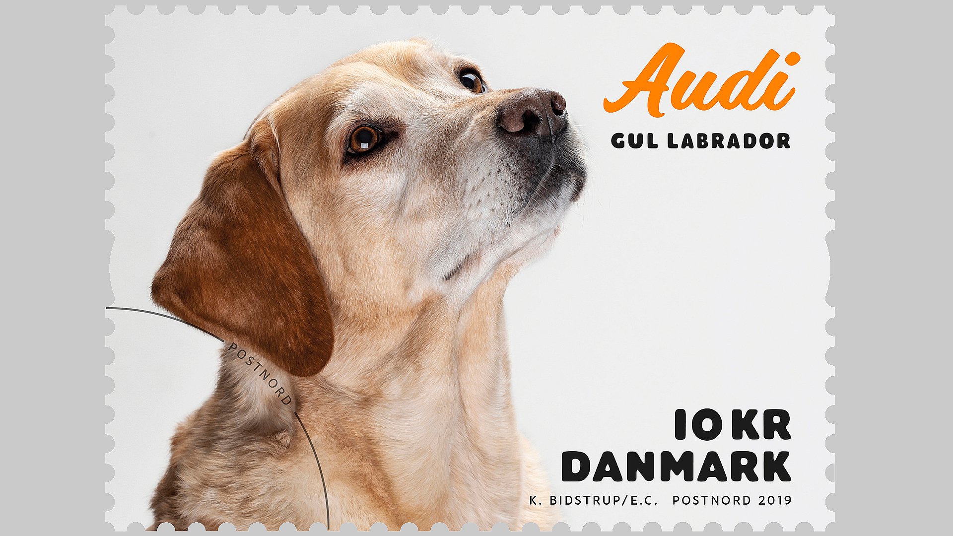 Mansion ske hjem Lokal hund på millioner af frimærker | TV2 ØST