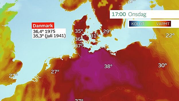 symptom venom slag Ekstrem varme rammer Danmark - kan ende med varmeste dag målt nogensinde |  TV2 ØST