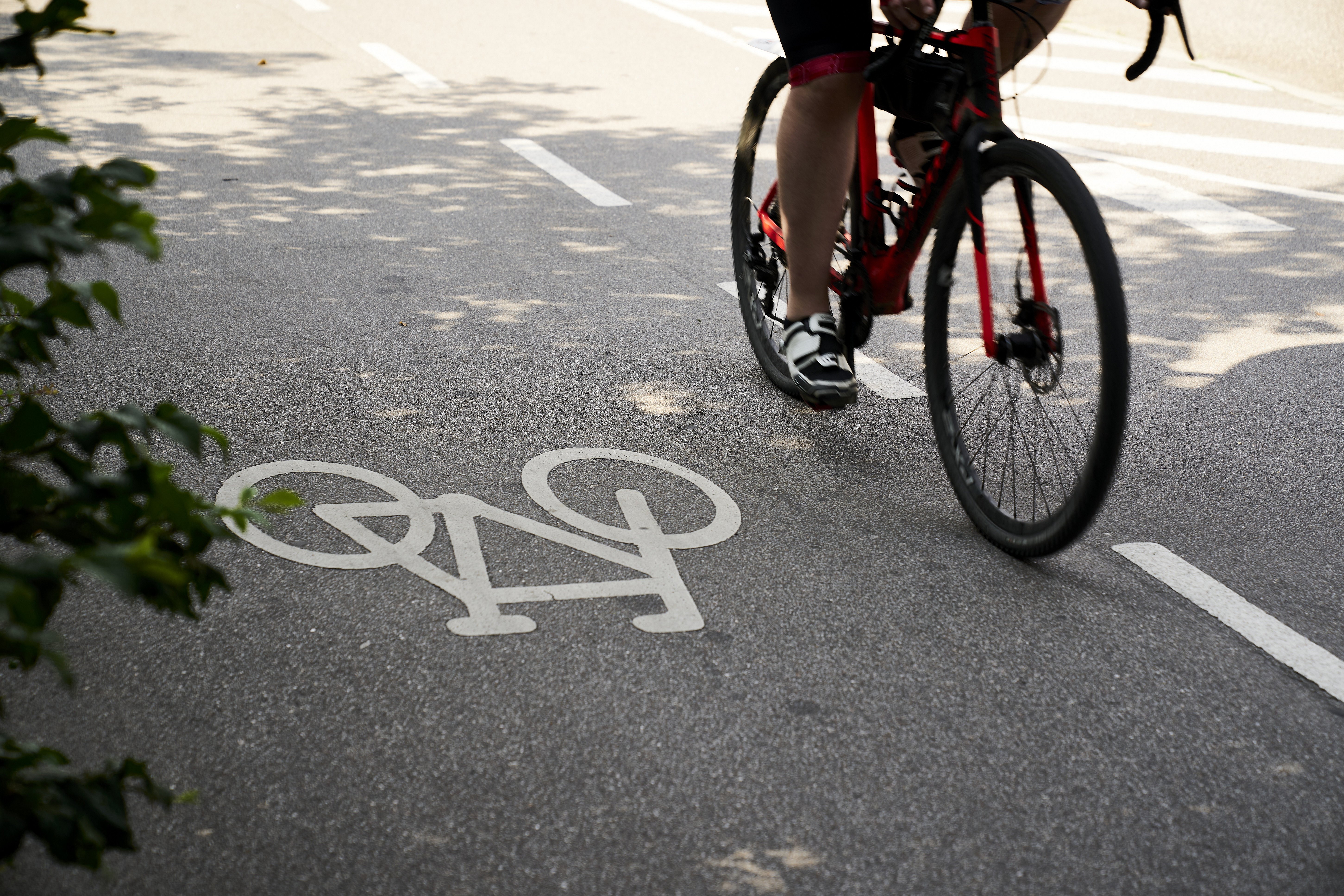 Typisk Beliggenhed bruge Travl landevej får ny cykelsti | TV2 ØST