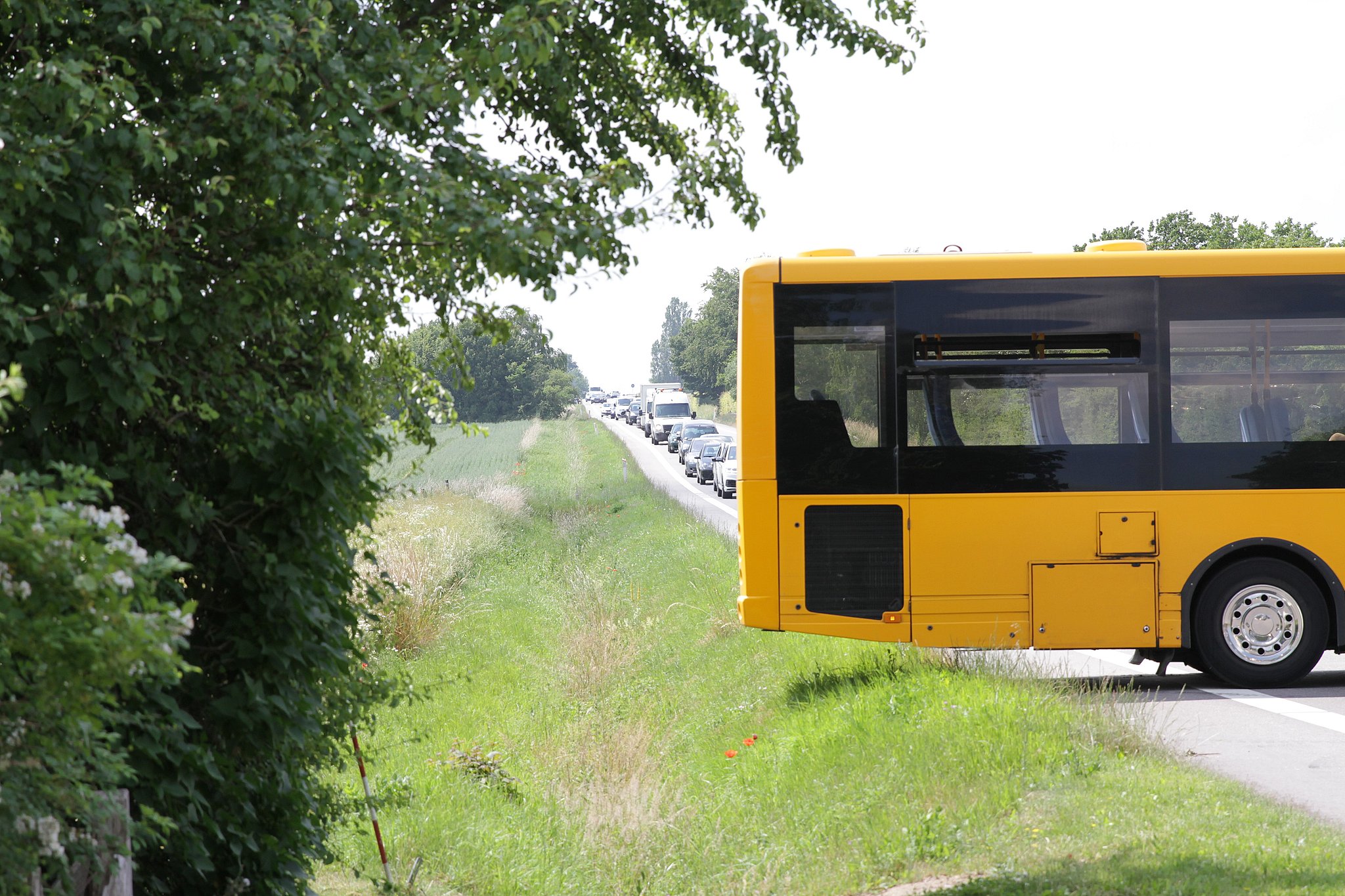 Objector præambel Synes Chauffør forsøgte at vende bus på landevej - men det blev ved forsøget |  TV2 ØST