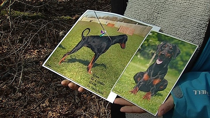 største glide kamp Hund døde af forgiftet kød | TV2 ØST